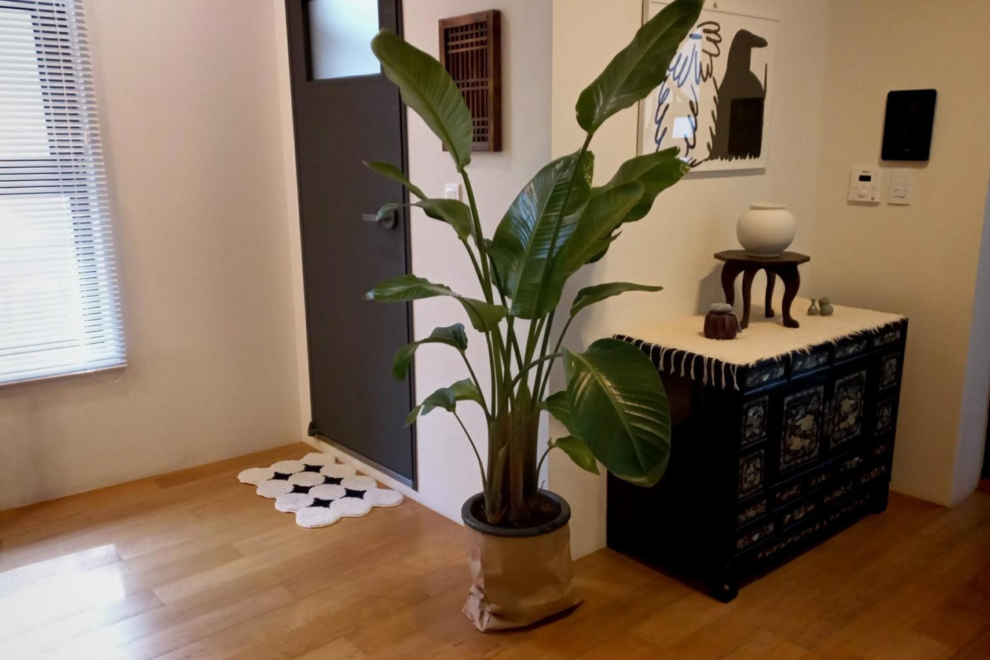 Korean Traditional Terrace House 서울특별시 외부 사진